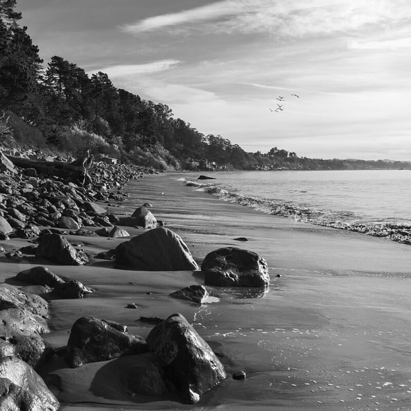New Brighton SB