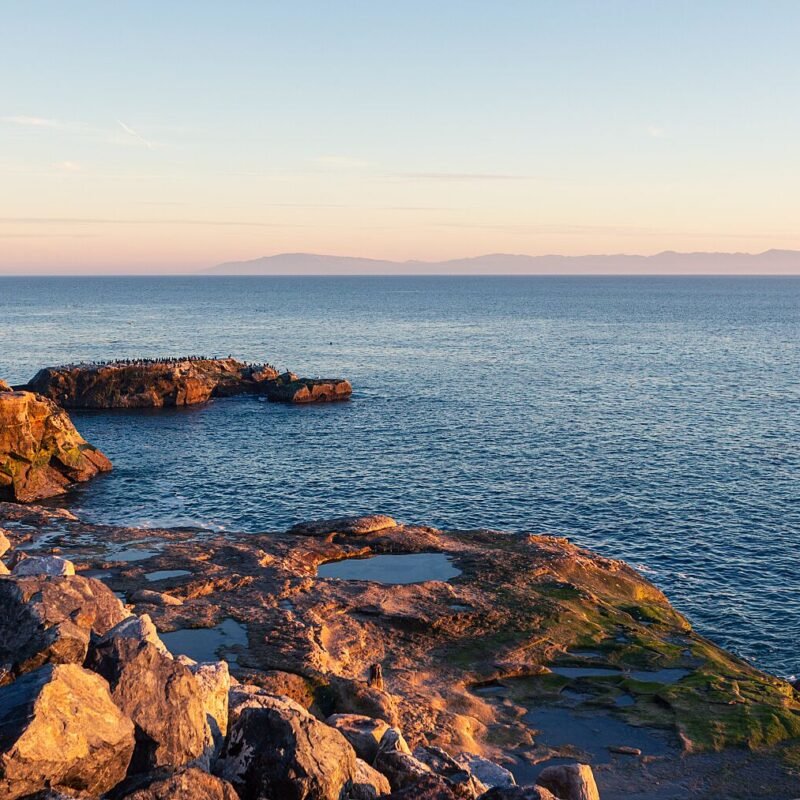 Rocky Shore